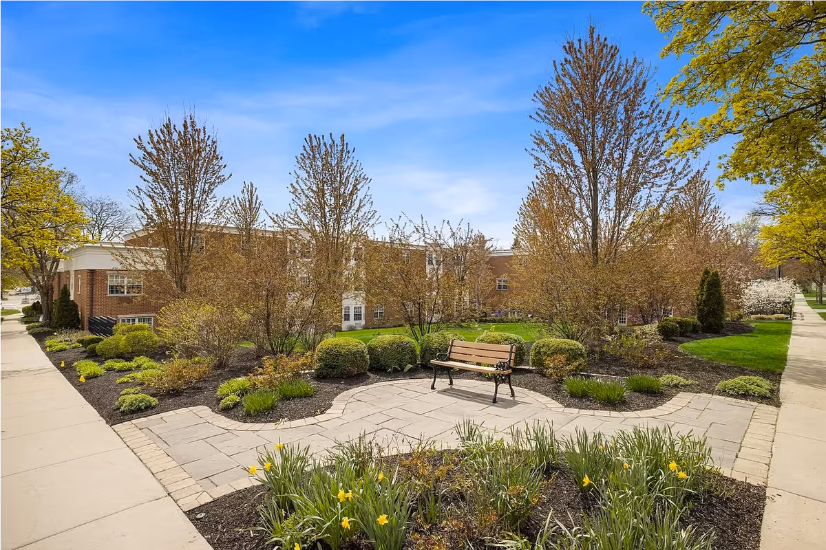 Outdoor garden area at Magnolia Senior Living featuring a paved walkway, a wooden bench with metal armrests, various shrubs, trees with budding leaves, and blooming yellow flowers under a clear blue sky.