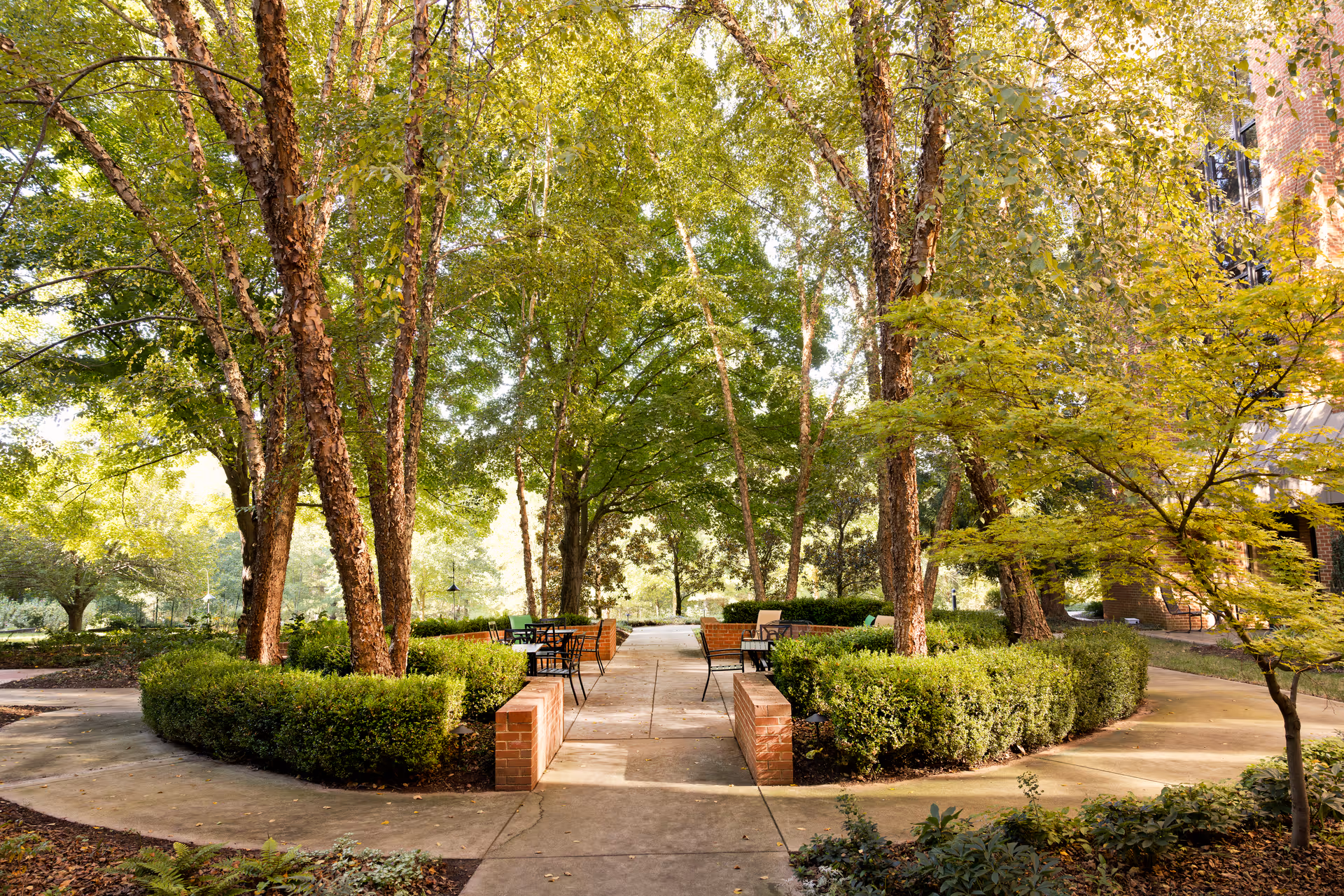 A peaceful outdoor garden area with tall trees providing shade, neatly trimmed hedges, and several benches and tables arranged along a paved walkway. The scene is sunlit with a building partially visible on the right side.