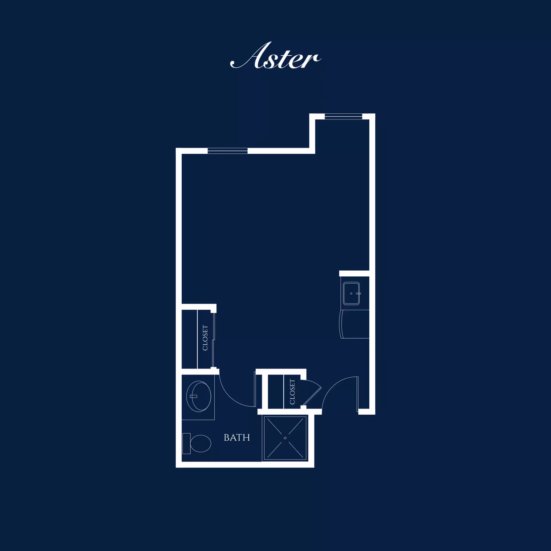 Floor plan layout named Aster showing a single room with a bathroom, two closets, and a small kitchenette area.