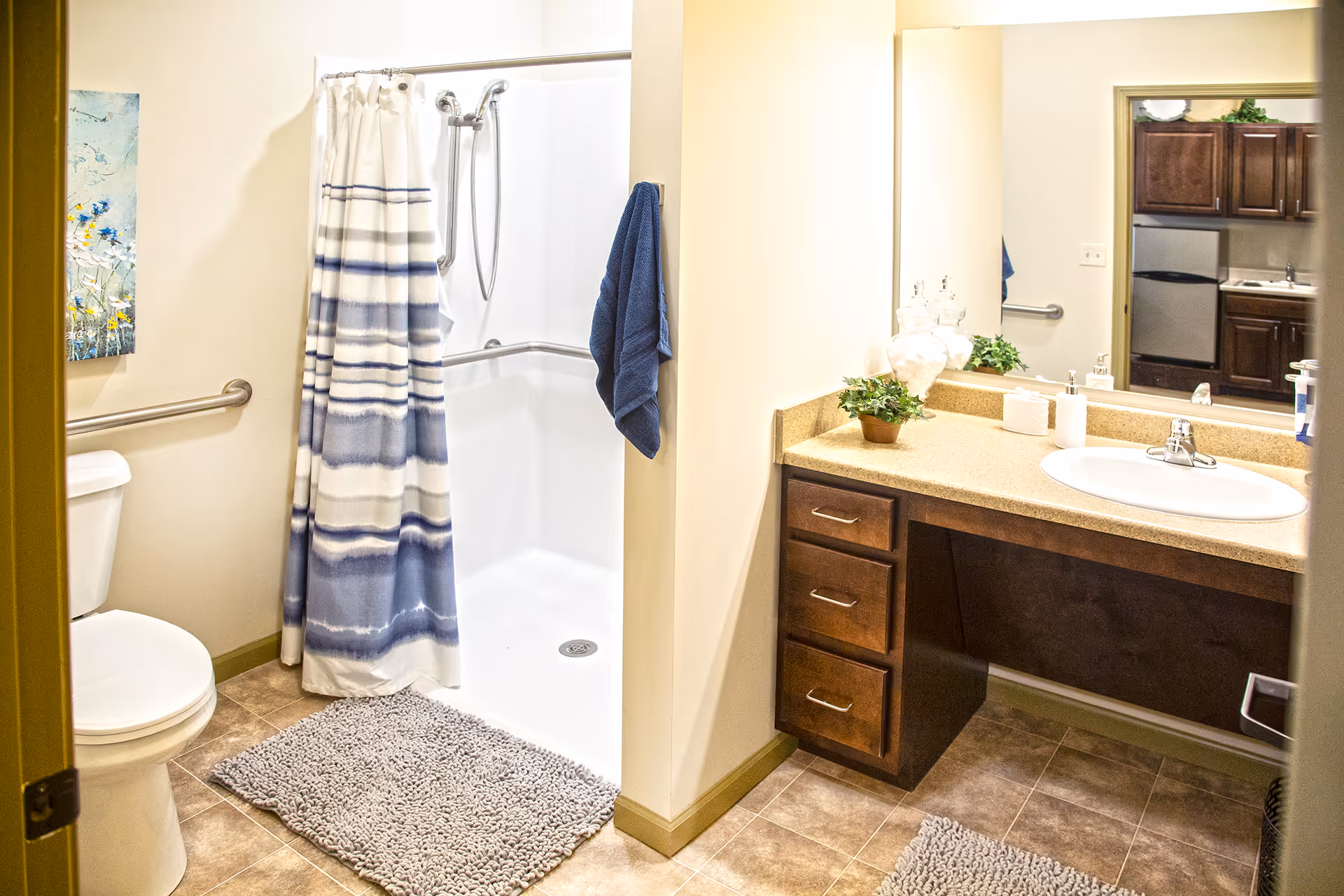 Bright accessible bathroom with walk-in shower, toilet, sink vanity and mirror.