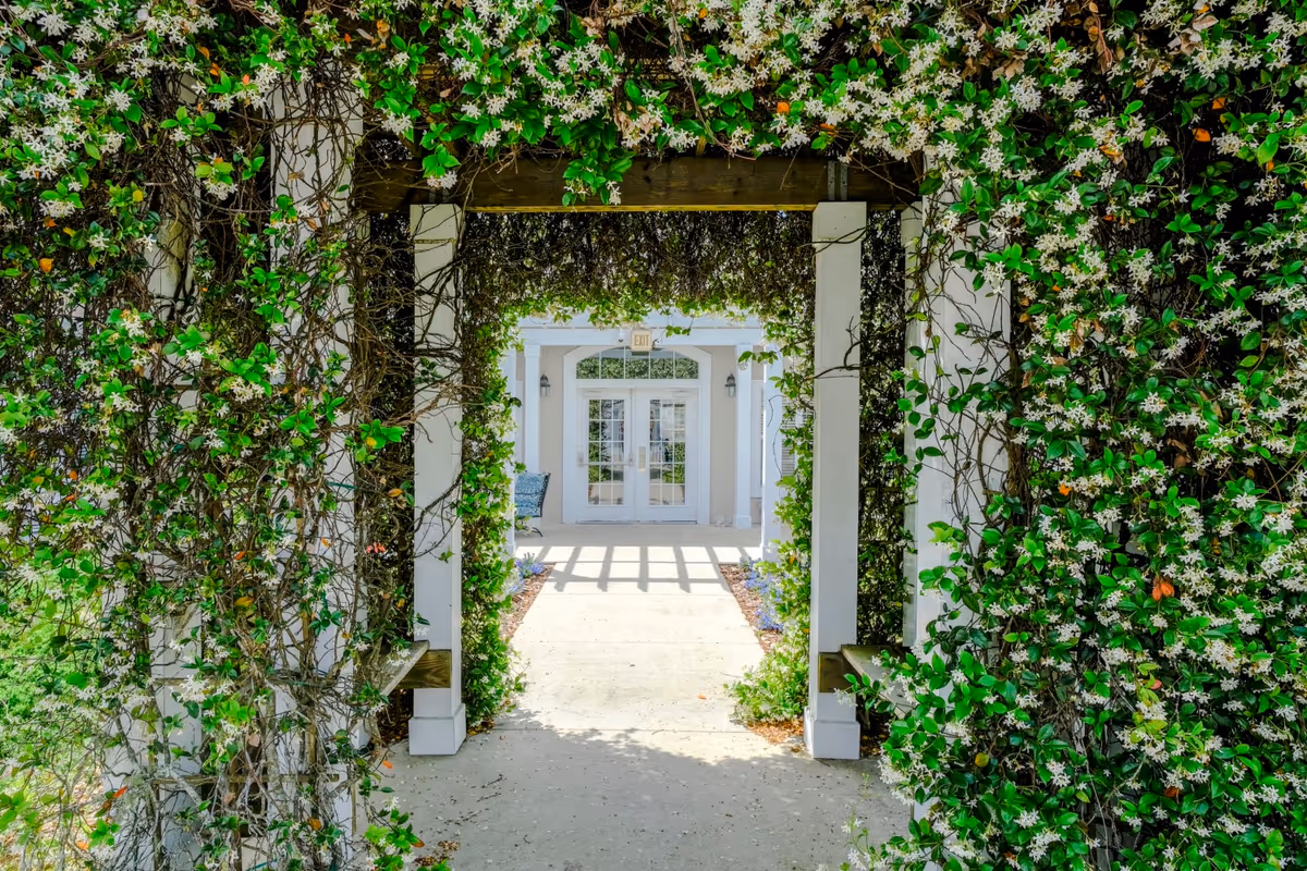 A vine-covered wooden arbor frames a sunlit walkway leading to glass double doors at the building entrance.