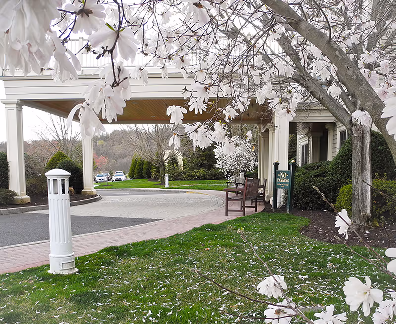 Entrance area of a facility with a covered driveway, benches, and blooming white flowers on tree branches in the foreground. There is a green 'No Parking' sign near the benches and several cars parked in the background.