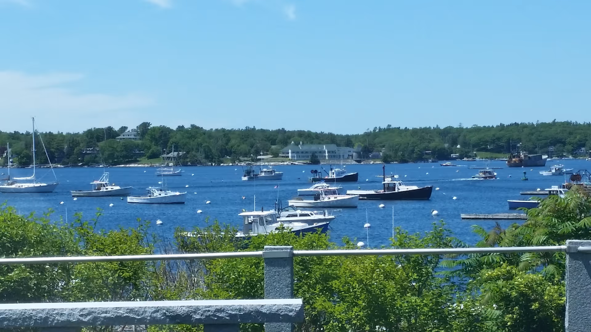 View of a harbor with multiple boats anchored on blue water, green trees and bushes in the foreground, and a tree-lined shore with buildings in the background under a clear blue sky.