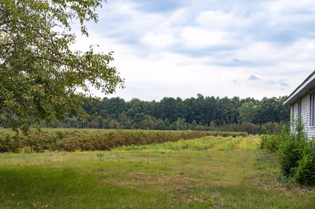 Exterior view of a building beside a grassy field with trees.