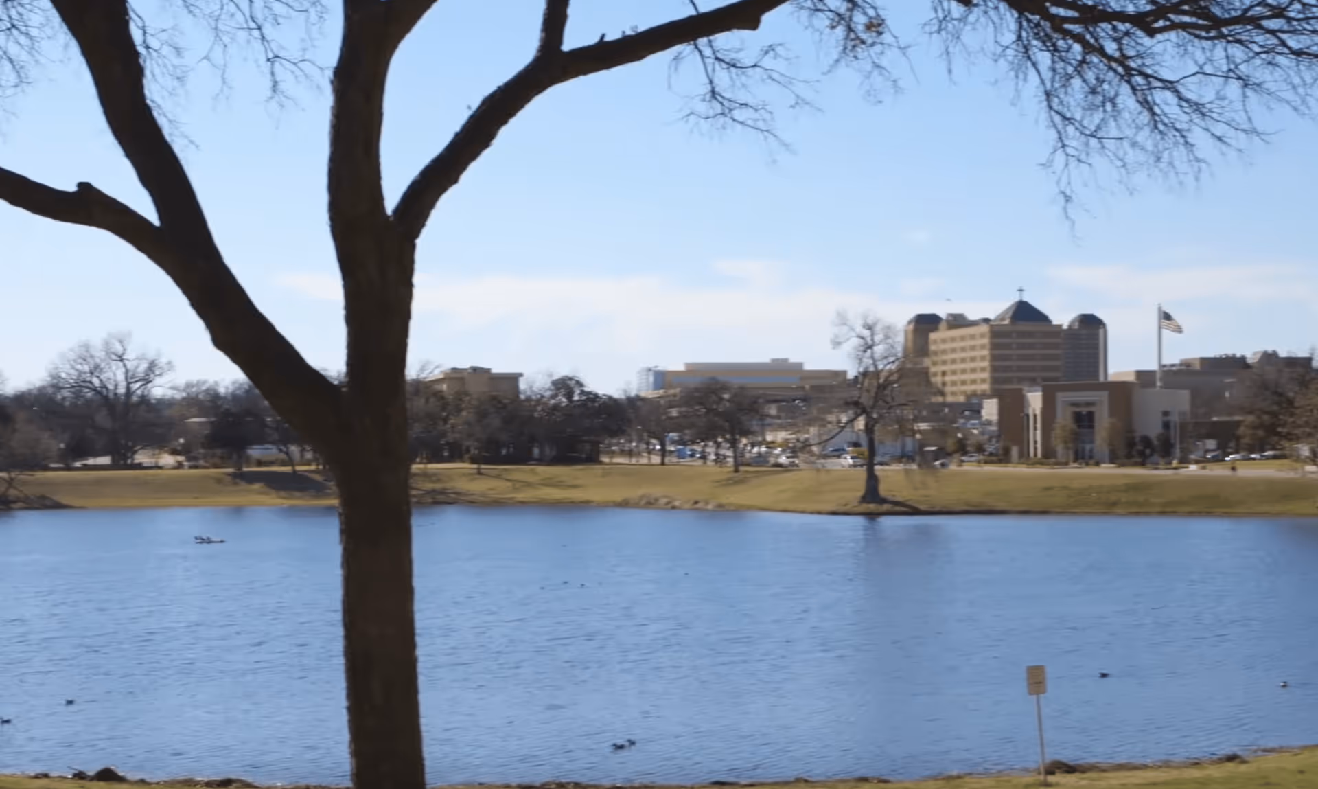 View of a calm lake with a large tree trunk and branches in the foreground. Across the lake, there is a grassy area with scattered trees and several buildings in the background under a clear blue sky.