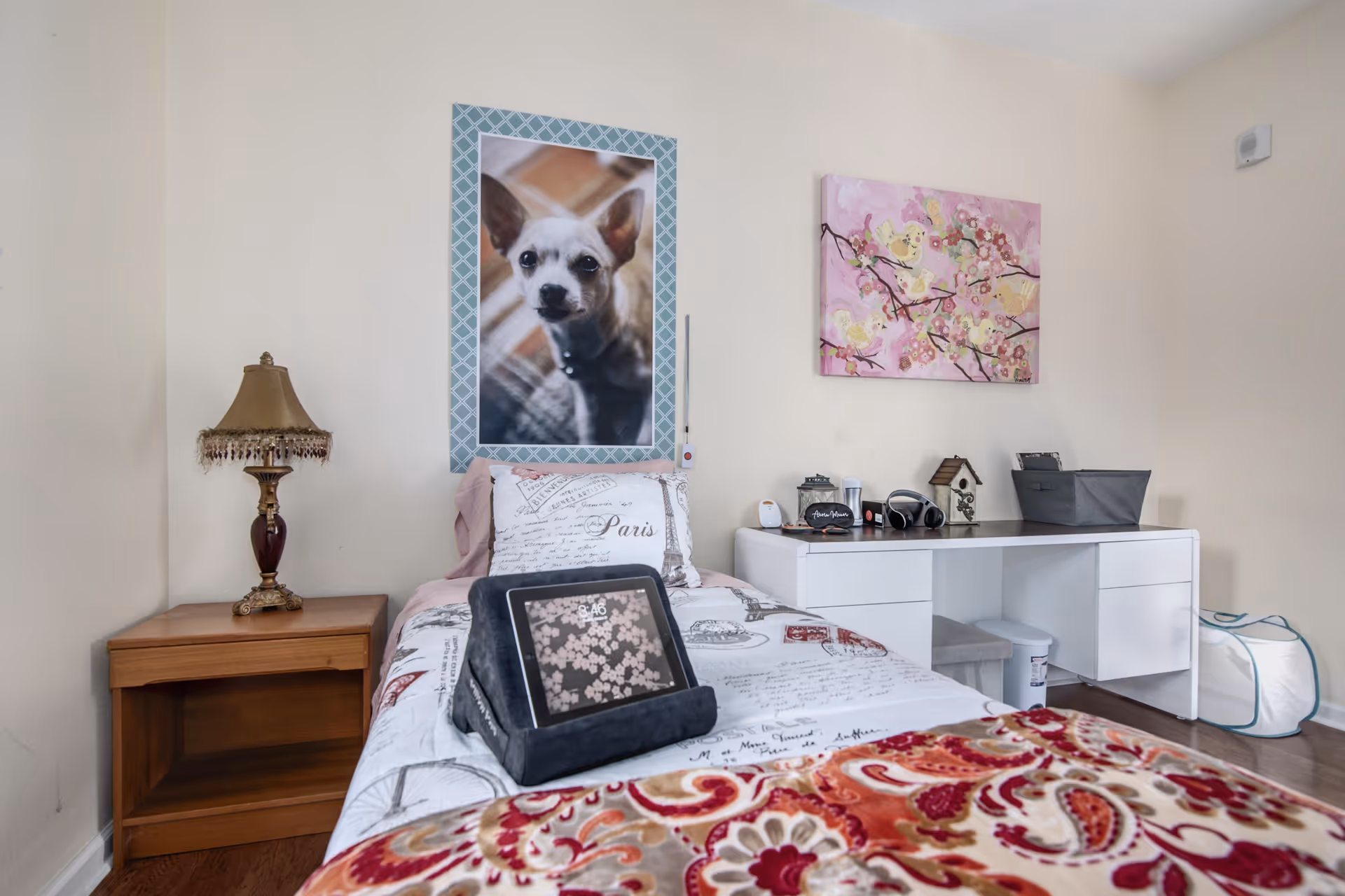 Single-occupancy bedroom with a bed, bedside table and lamp, a tablet on the bed, wall art of a dog and a floral painting, and a white desk against the wall.