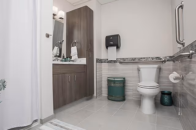 A clean and modern bathroom with a white toilet, a wooden vanity with a sink and mirror, a paper towel dispenser mounted on the wall, and grab bars for accessibility. The floor is tiled, and there is a shower curtain visible on the left side.