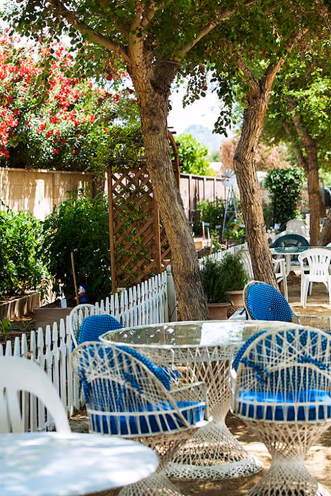 Outdoor seating area with white wicker tables and blue cushioned chairs under trees, surrounded by a white picket fence and lush greenery with flowering bushes in the background.