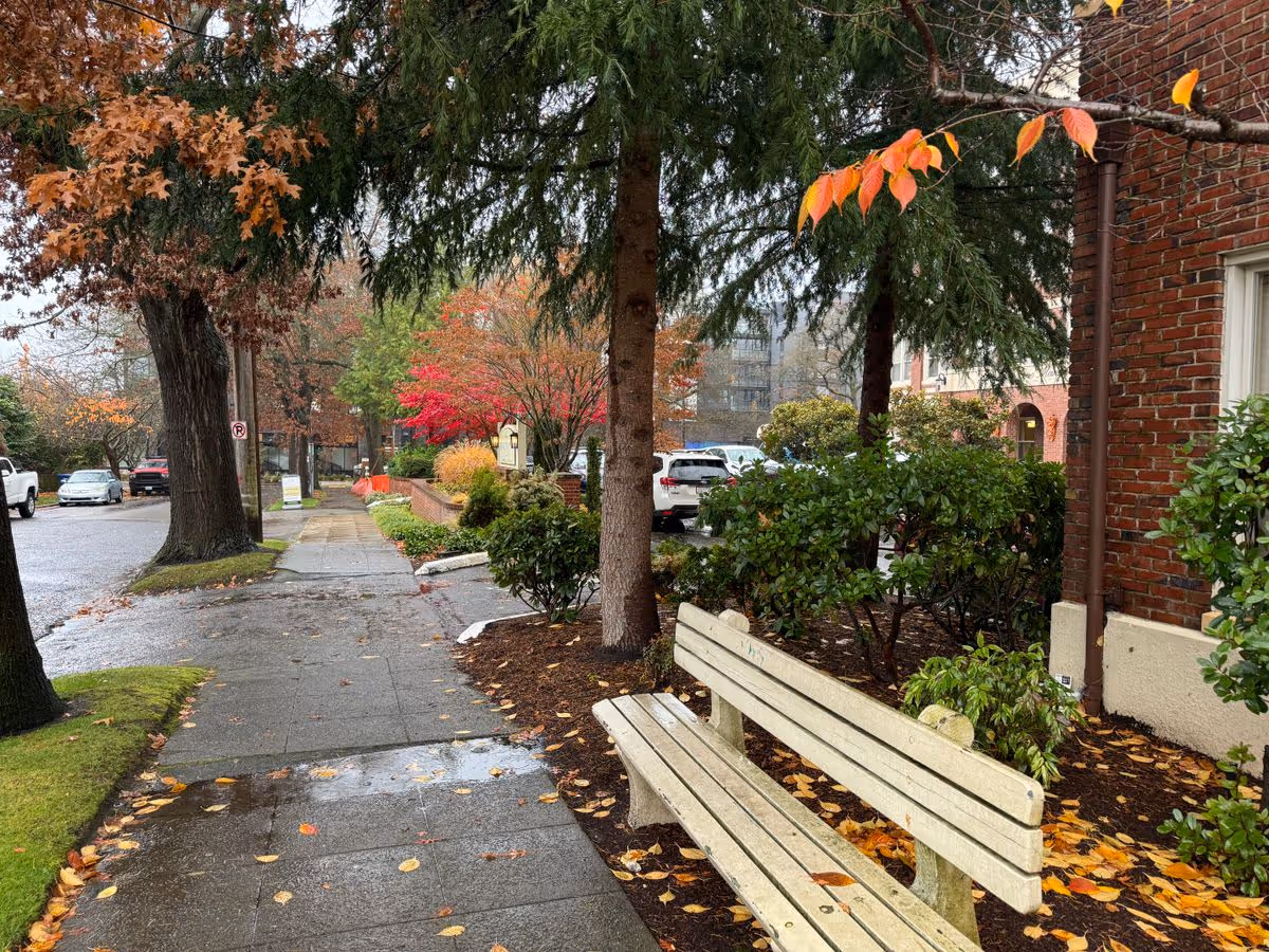 A wet sidewalk lined with trees and autumn leaves beside a brick building, with a white bench in the foreground.