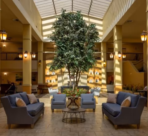 Sunlit atrium lounge with sofas and armchairs arranged around a central indoor tree beneath a large skylight.
