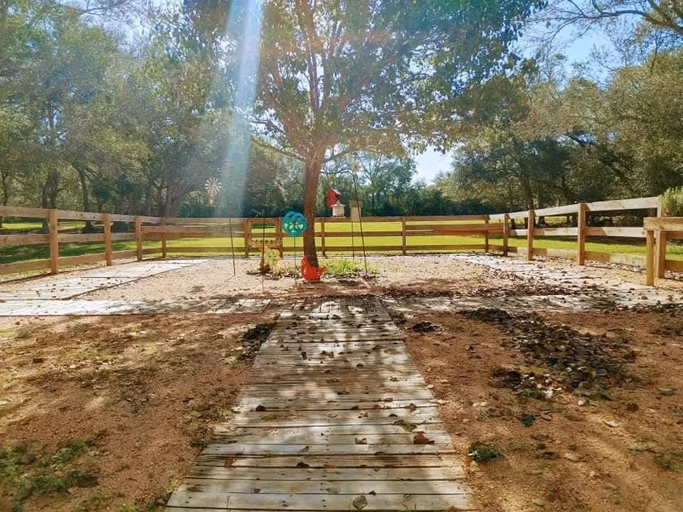 A sunny fenced outdoor yard with a wooden plank path leading to a central tree and small garden decorations.