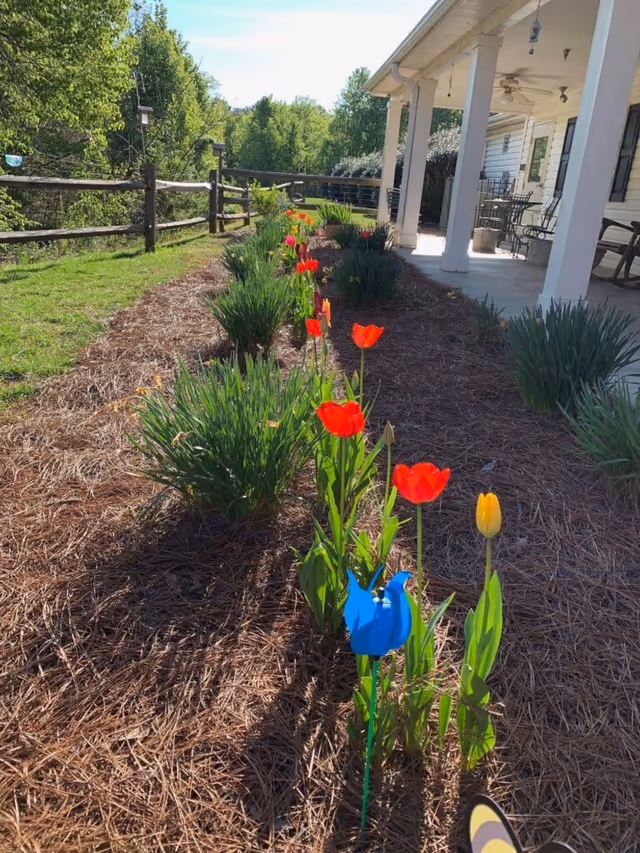 A garden bed with blooming red and yellow tulips and green plants next to a white porch with columns and outdoor furniture. A wooden fence and green trees are visible in the background under a clear sky.