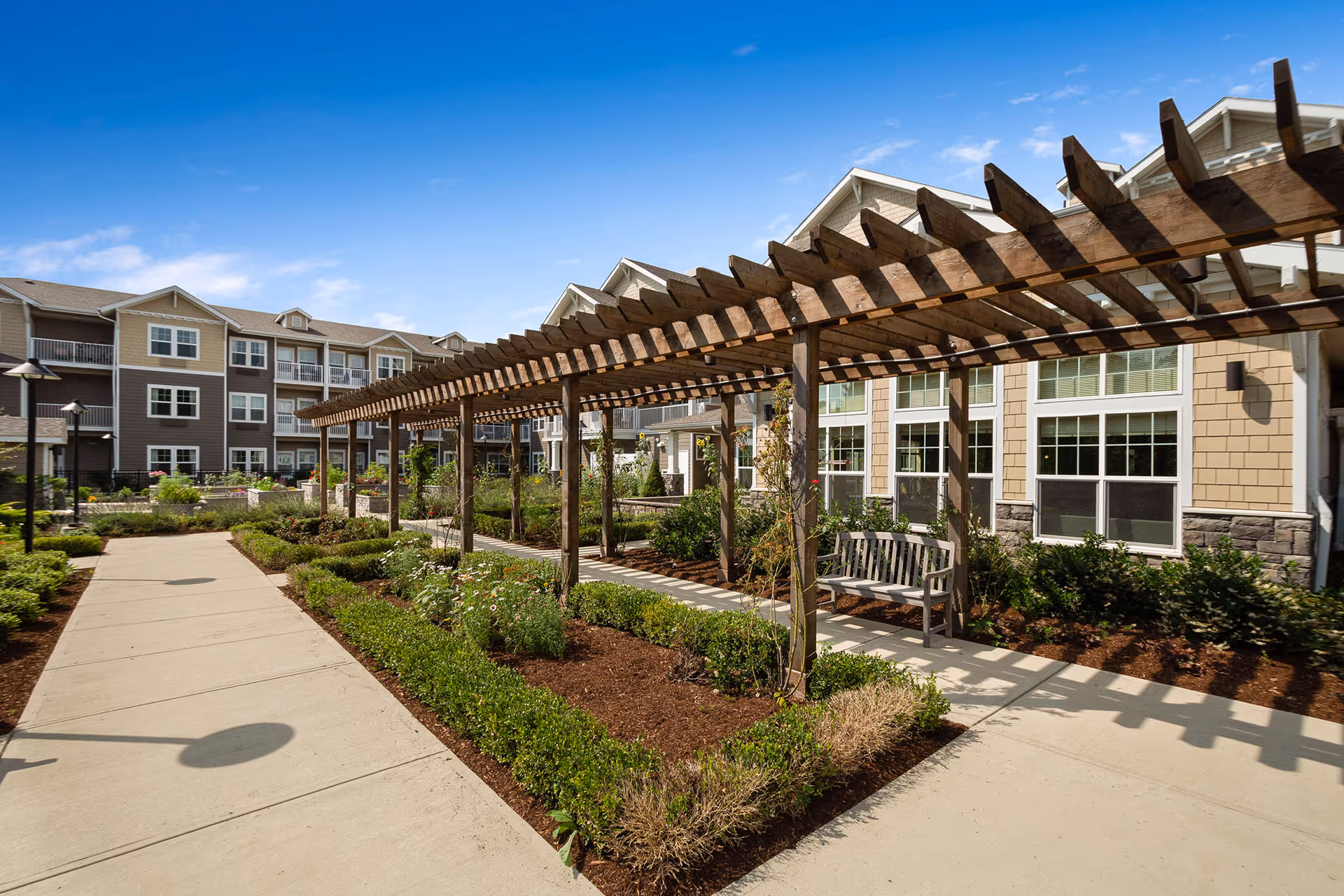 Outdoor courtyard with a wooden pergola, benches, landscaped beds and walkways in front of a multi-story senior living building.