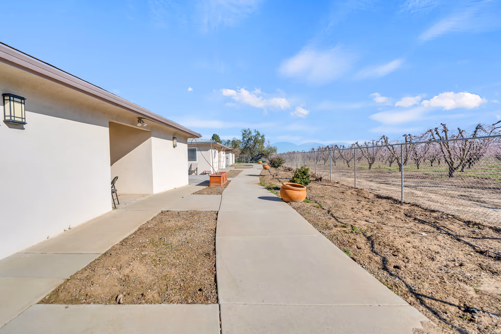 Sidewalk along a single-story building with beige walls and outdoor lights, adjacent to a fenced area with rows of trees or plants under a blue sky with some clouds.