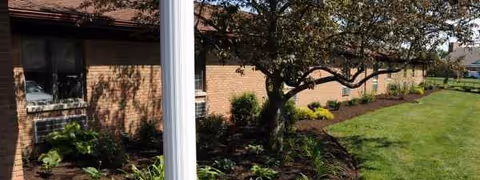 Exterior view of a brick senior living facility with a tree, lawn, and landscaped shrubs.