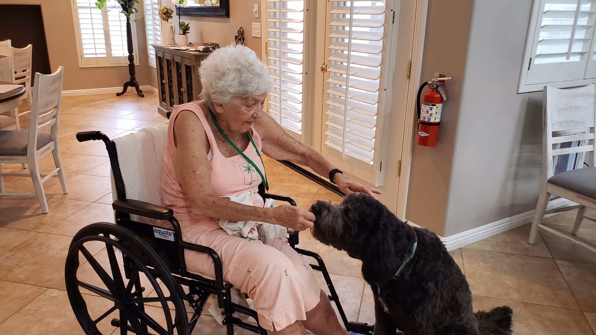 An elderly woman in a wheelchair wearing a pink dress is feeding a black dog inside a room with tiled floors, white wooden chairs, and large windows with white shutters.