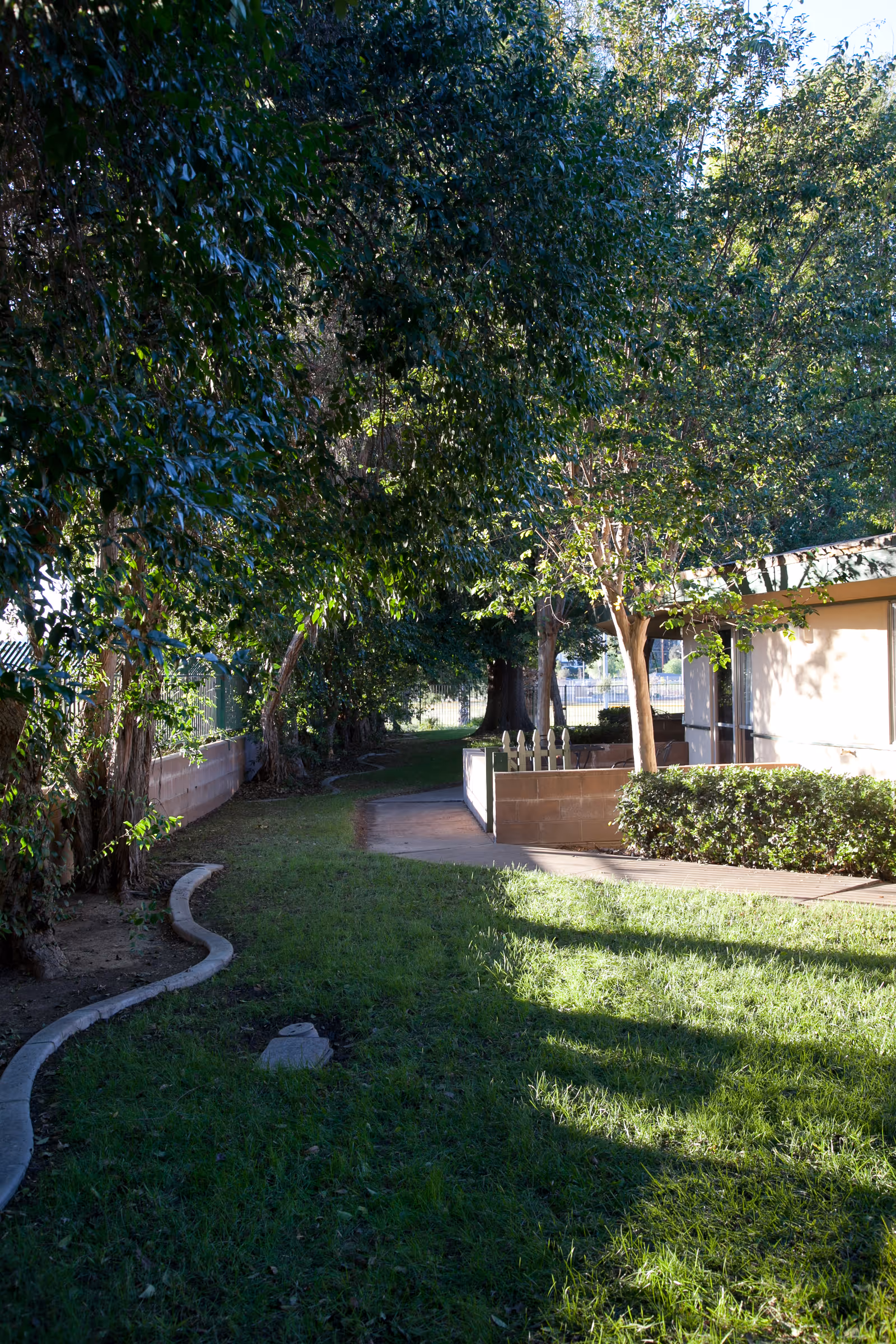 A shaded outdoor pathway bordered by green grass and trees on the left side, with a building and bushes on the right side under sunlight.