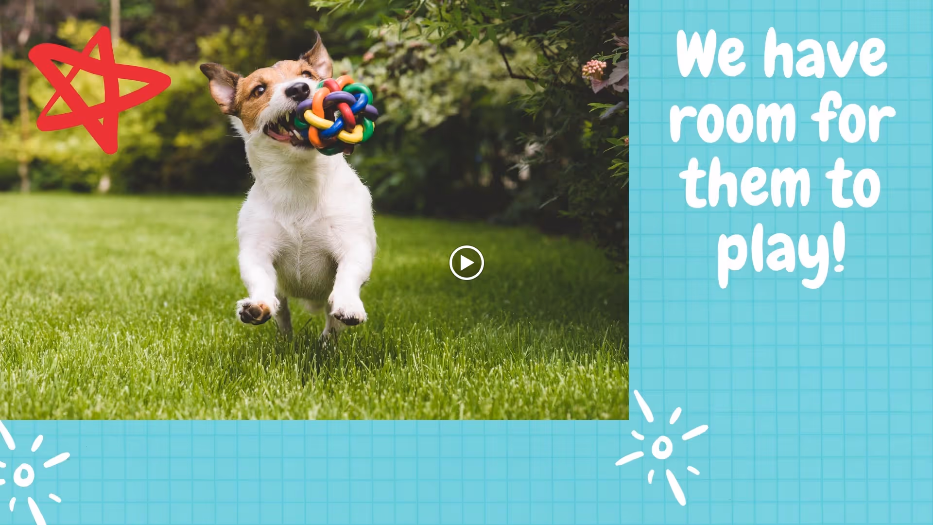 A small dog running on green grass with a colorful ball toy in its mouth, surrounded by bushes and trees in the background.