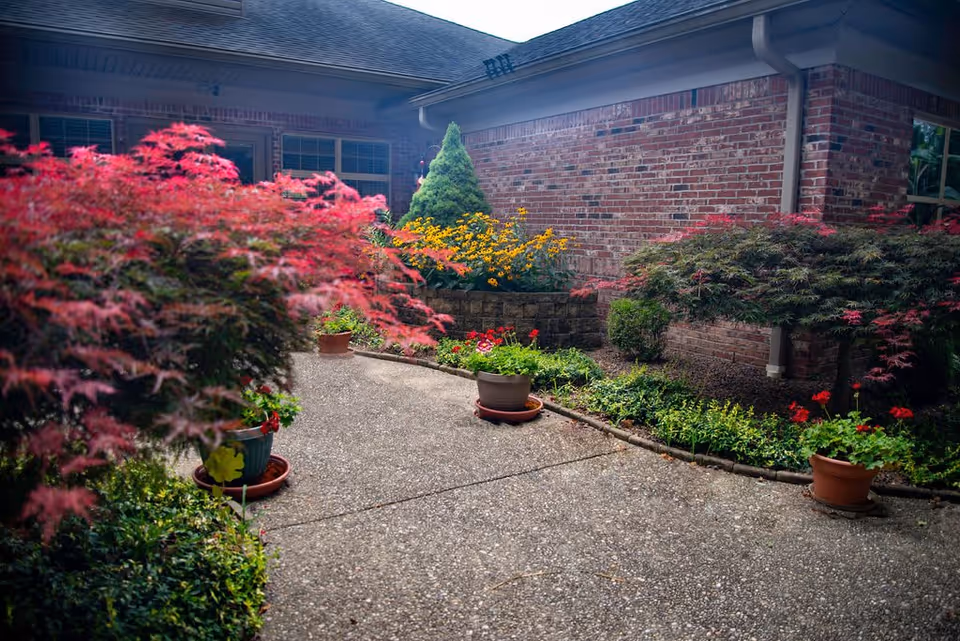 A courtyard garden area with a concrete pathway surrounded by various potted plants and flower beds. There are red and green leafy shrubs, yellow flowers, and a small conical evergreen tree near a brick building with windows.