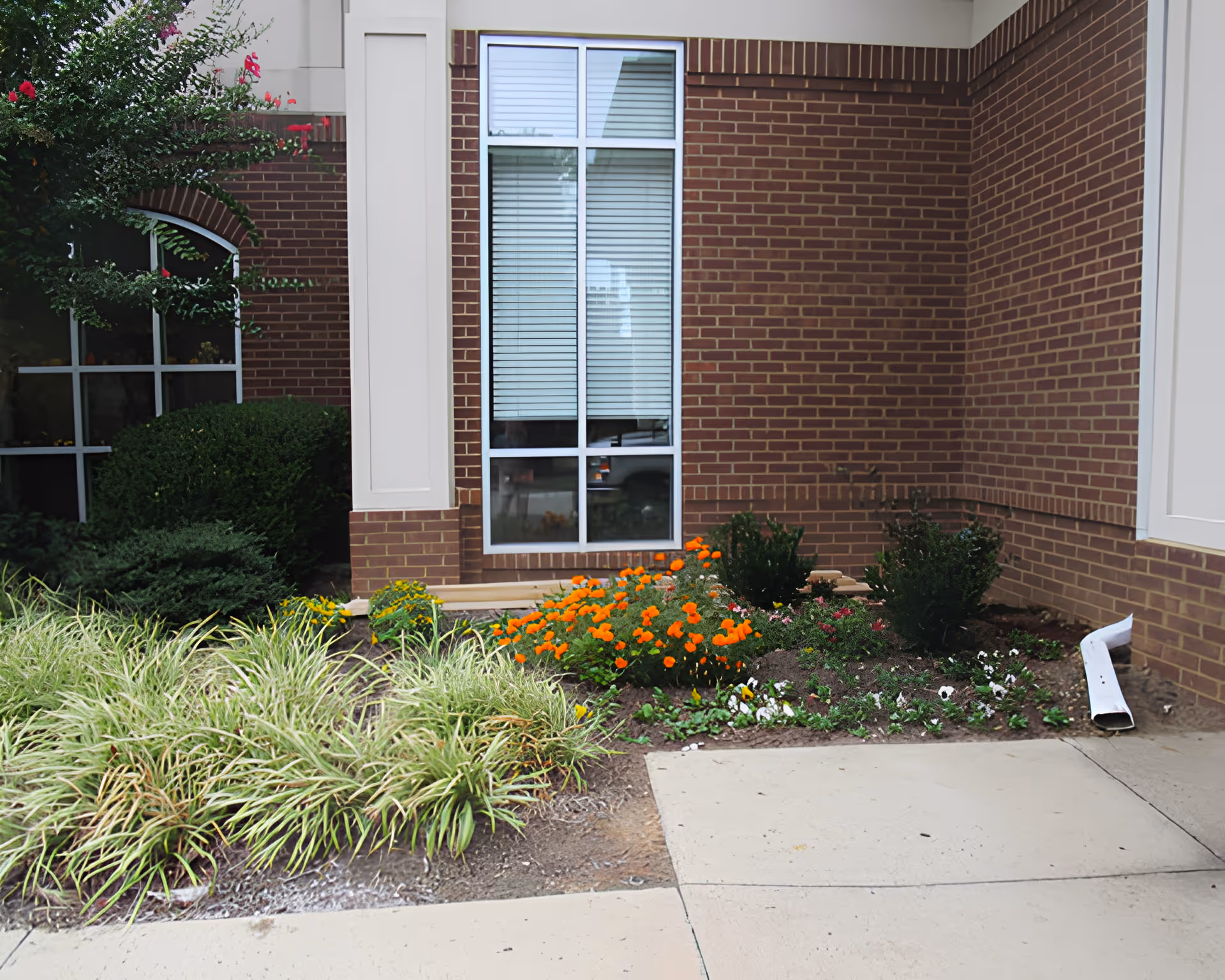 A corner of a brick building with a large window featuring closed blinds. In front of the building, there is a landscaped garden area with various green plants and flowers, including orange and white blooms. A white downspout is visible on the right side near the ground, and a concrete walkway runs along the garden.