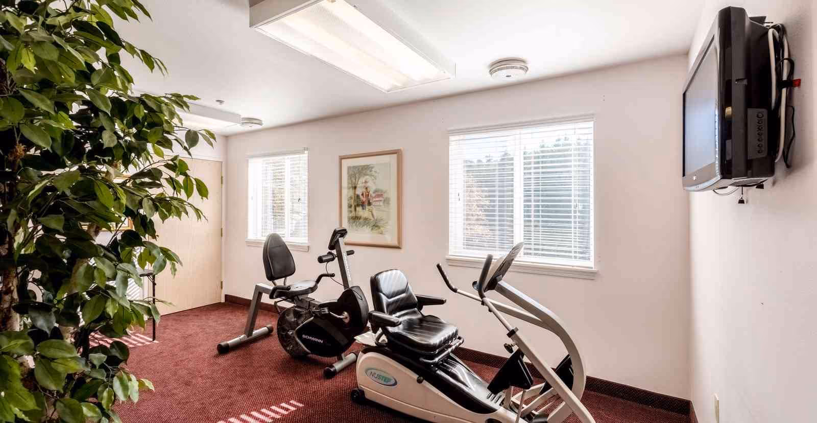 Small exercise room with two recumbent exercise bikes, a wall-mounted TV, windows letting in natural light, and a potted plant.