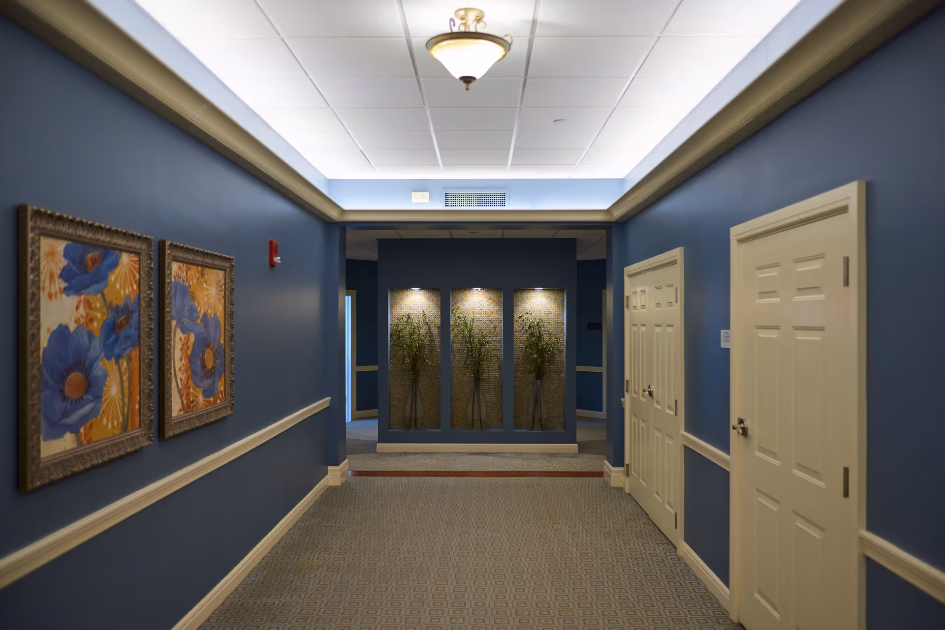 A well-lit hallway with blue walls and beige carpet. The hallway features two framed floral paintings on the left wall and three recessed niches with plants illuminated by spotlights at the end. There are white doors on the right side and a ceiling light fixture above.