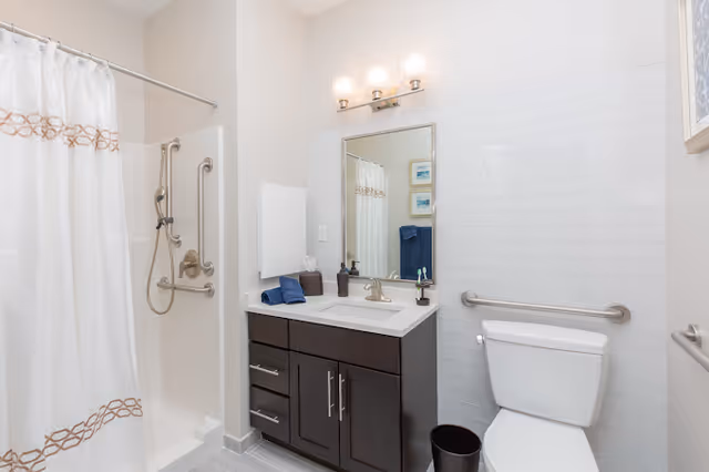 Bright accessible bathroom with a shower and grab bars, a dark-wood vanity with mirror, and a toilet.