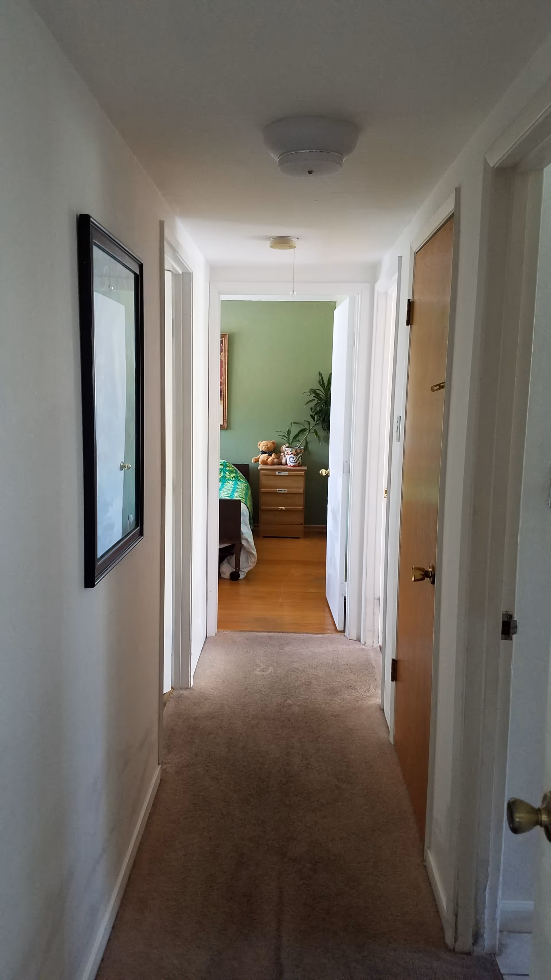 Carpeted interior hallway leading to a bedroom with a green accent wall, dresser and stuffed animals visible at the end.