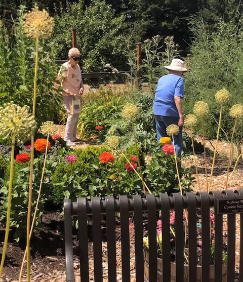 Two older adults walking through a colorful flower garden past a bench.