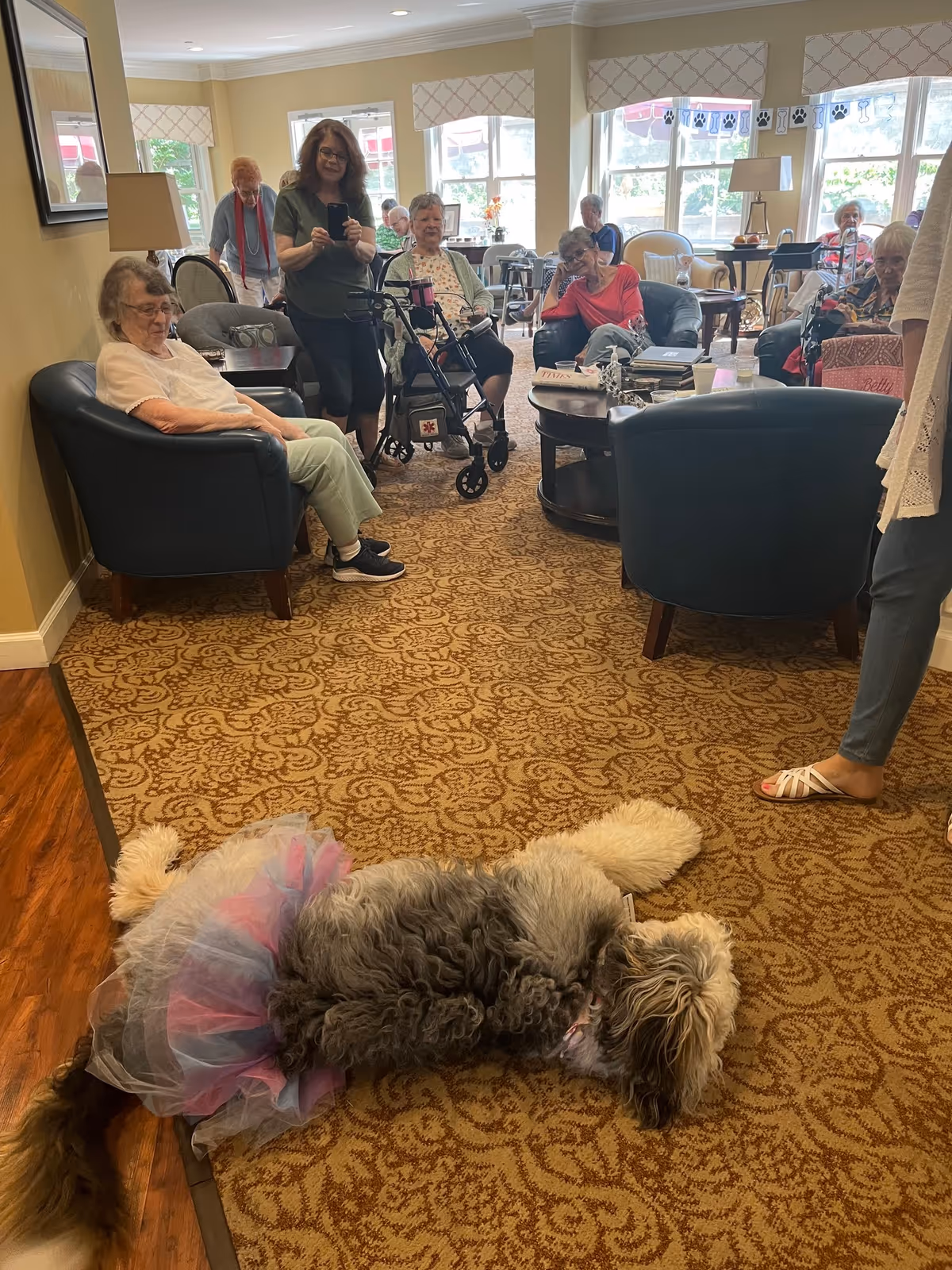 A group of elderly people sitting and standing in a cozy living room area with patterned carpet and comfortable chairs. A woman is taking a photo with her phone. A fluffy dog wearing a colorful tutu is lying on the carpet in the foreground. Large windows with valances let in natural light.