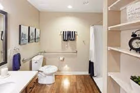 Bright accessible bathroom with a toilet, sink vanity, open shelving and a shower curtain.