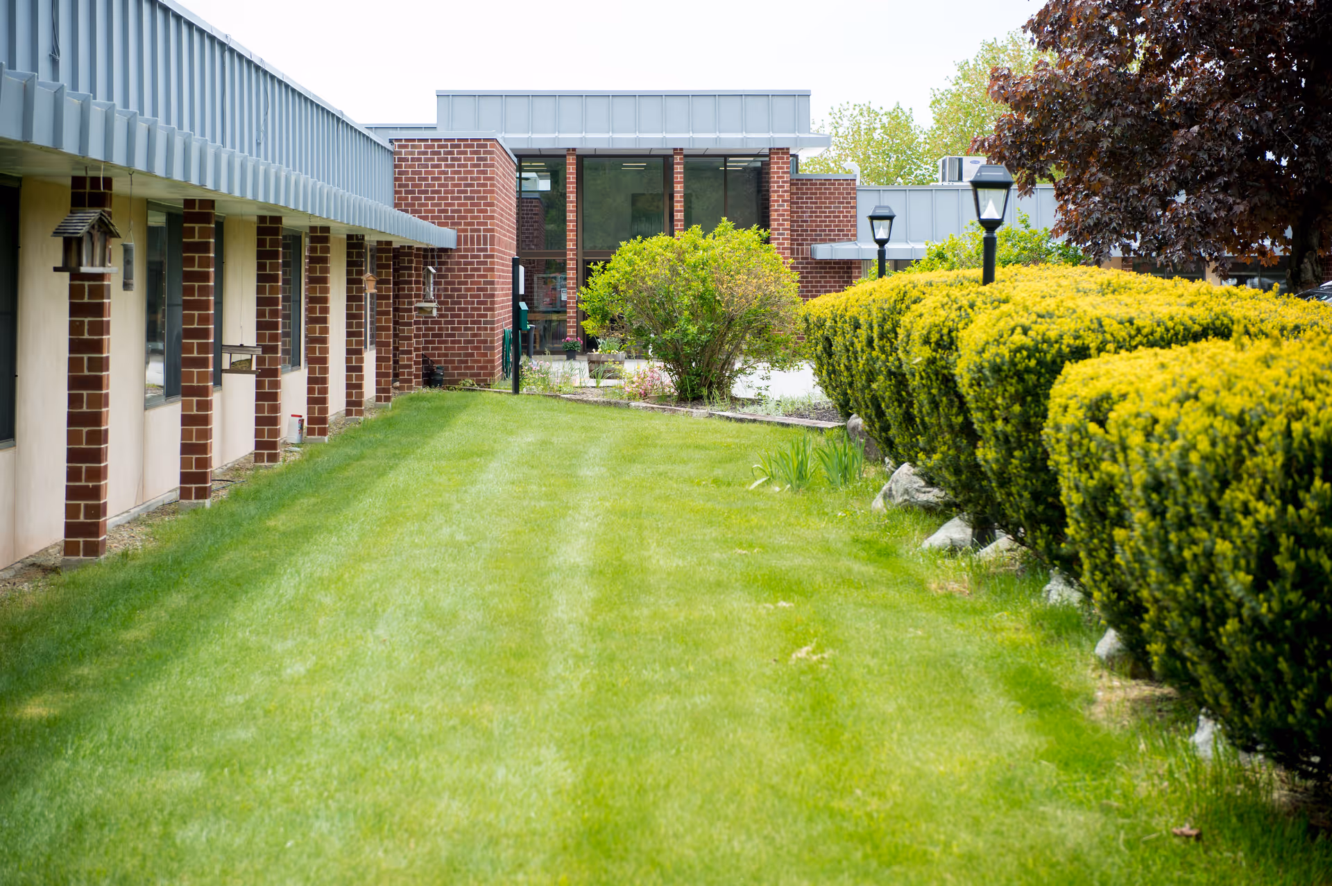 A well-maintained grassy area with neatly trimmed bushes and a few lamp posts along the right side. On the left side, there is a building with brick pillars and windows. The building has a modern design with a flat roof and large glass windows at the far end.