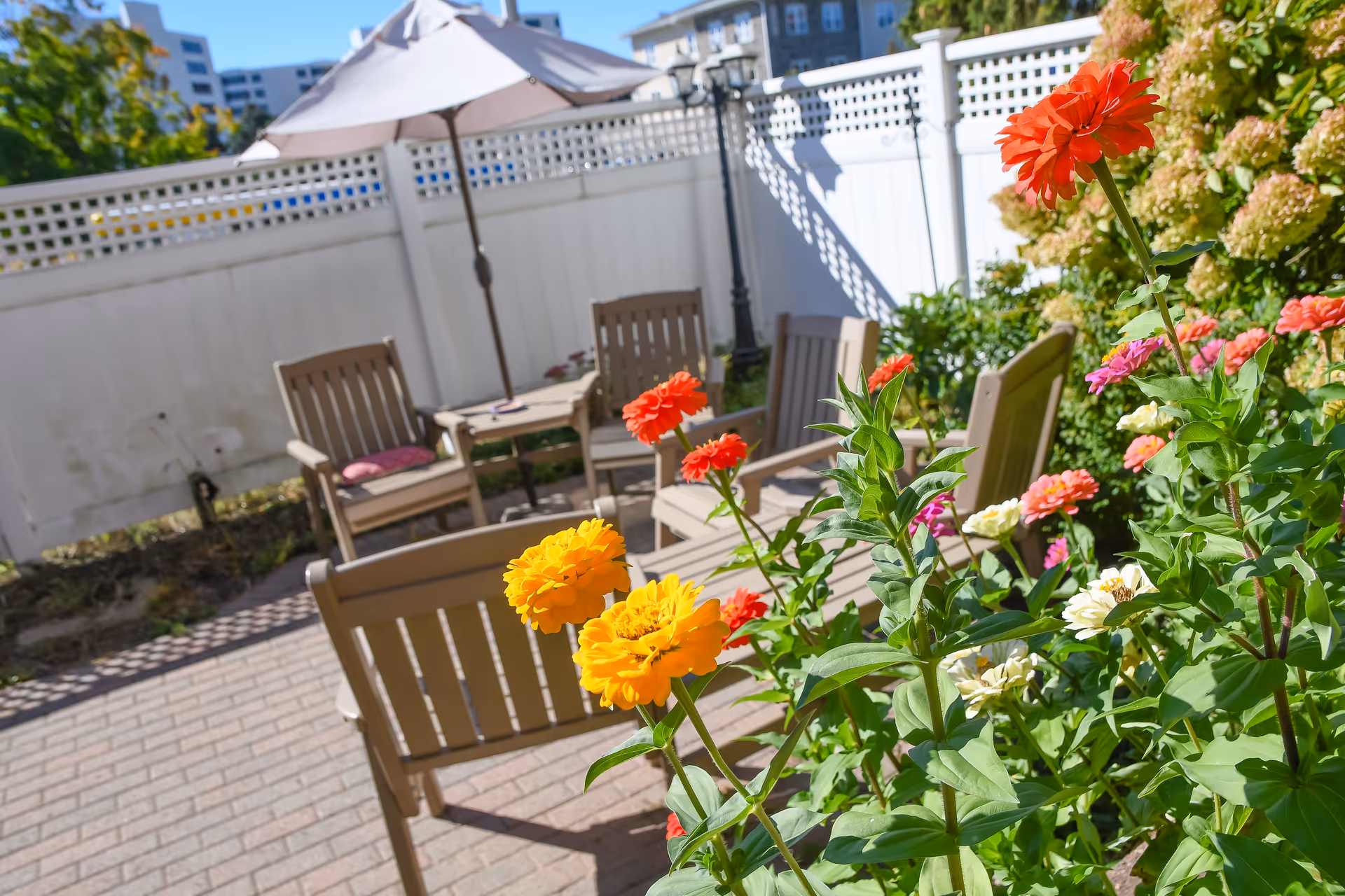 Outdoor patio area with wooden chairs and tables, a large umbrella, and colorful flowers in the foreground. The space is enclosed by a white fence with lattice panels at the top, and there are buildings visible in the background under a clear blue sky.