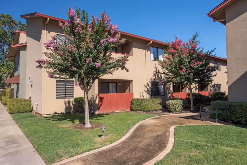 Exterior view of a senior living facility with beige two-story buildings, red fences, green bushes, and trees with pink flowers along a curved pathway under a clear blue sky.