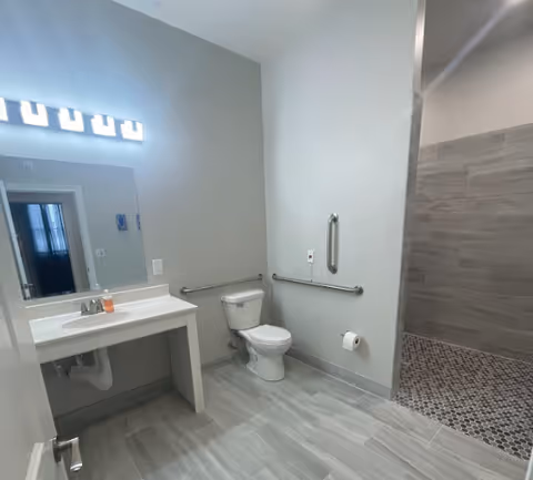 A modern bathroom with a white toilet, a white sink with a countertop, a large mirror above the sink, and a walk-in shower area with gray and black pebble-style flooring. The walls are light gray, and there are metal grab bars near the toilet and in the shower area for accessibility.