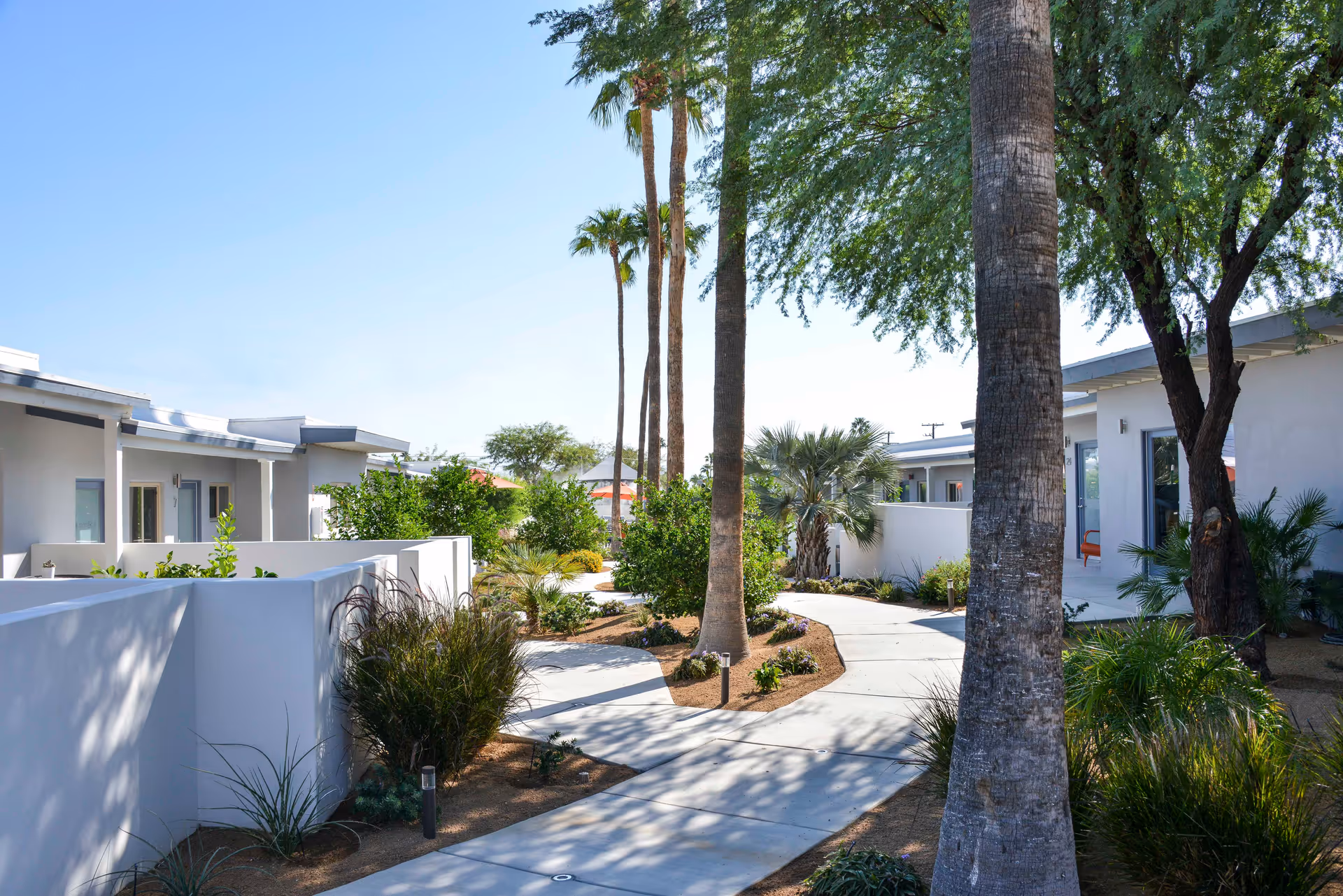 Curved paved walkway through a sunny courtyard lined with palm trees, low white buildings, and landscaping.