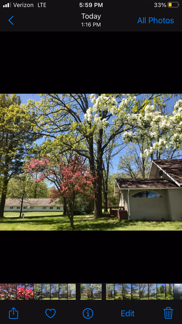A sunny outdoor scene with green lawn, blooming trees, and the side of a single-story building under a blue sky.