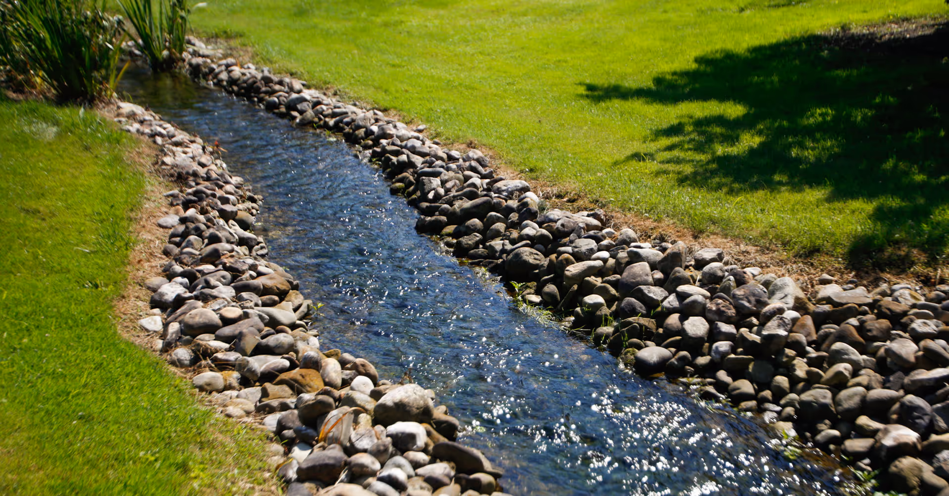 A narrow stream bordered by smooth rocks flowing through a grassy area with some plants and trees casting shadows nearby.
