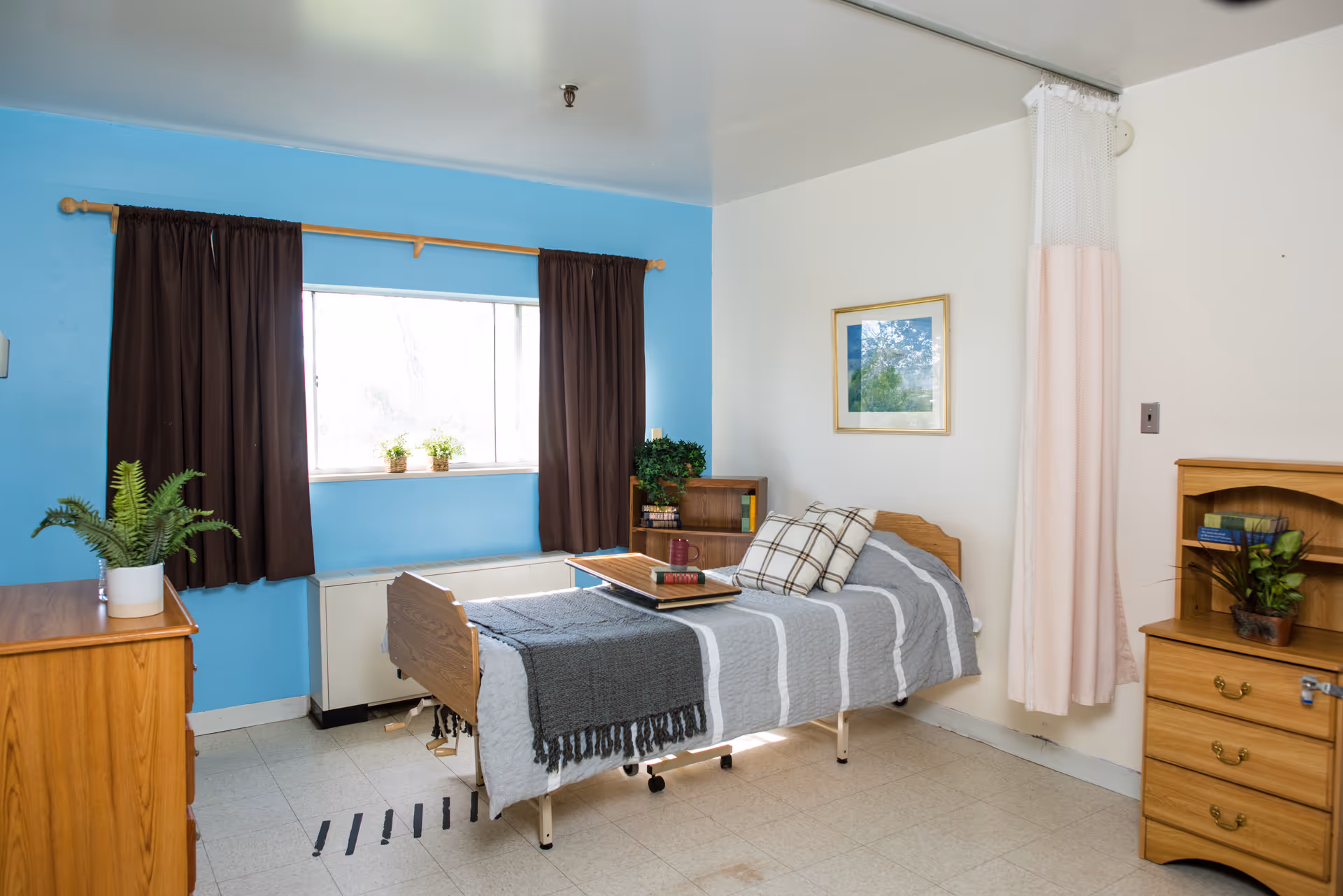 A simple, clean bedroom in a senior living facility with a single bed covered in a gray and white striped blanket and a dark gray throw. The bed has a wooden headboard and footboard, with a tray holding a book and a red mug. There are two plaid pillows on the bed. The room has light blue and white walls, a window with dark brown curtains, a wooden dresser with a potted plant, a small bookshelf with books and a plant, and a framed picture on the wall. A privacy curtain is partially visible on the right side.