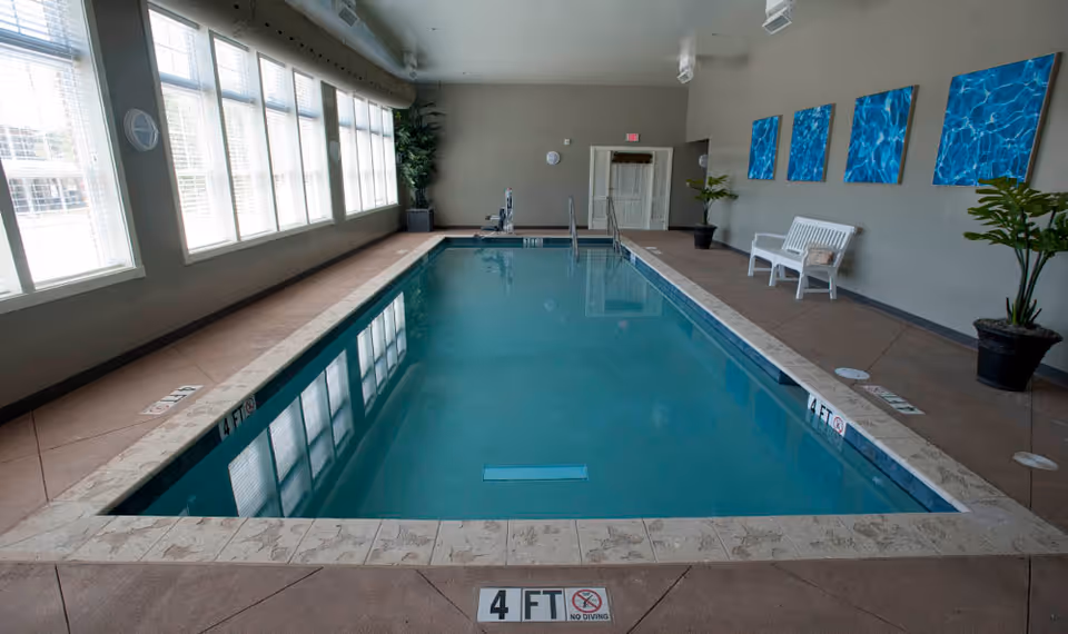 Indoor swimming pool with large windows, bench seating, potted plants, and blue wall artwork.
