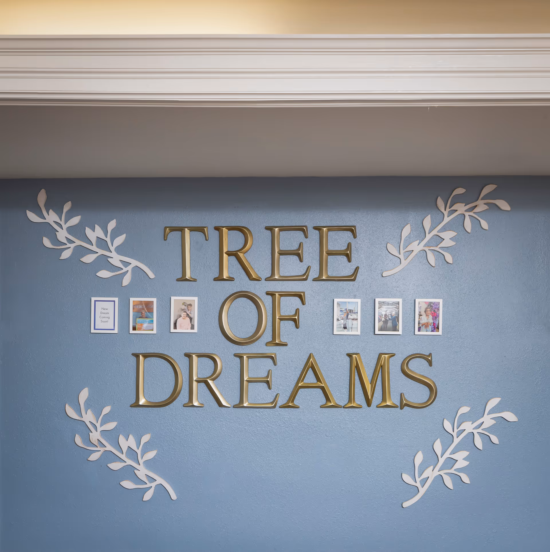 A blue wall with large gold letters spelling out 'TREE OF DREAMS' surrounded by decorative white leaf designs and small framed photos and notes.