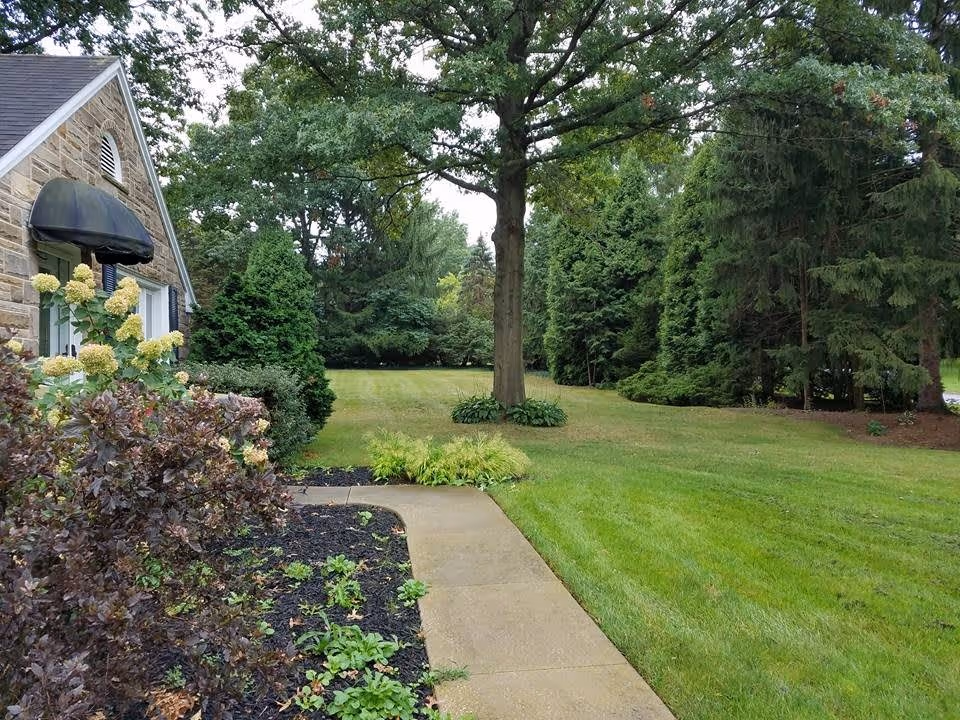 A well-maintained outdoor garden area with a concrete walkway leading past flower beds and bushes towards a large tree in the center of a grassy lawn, surrounded by various trees and shrubs. Part of a stone building with a black awning over a door is visible on the left side.
