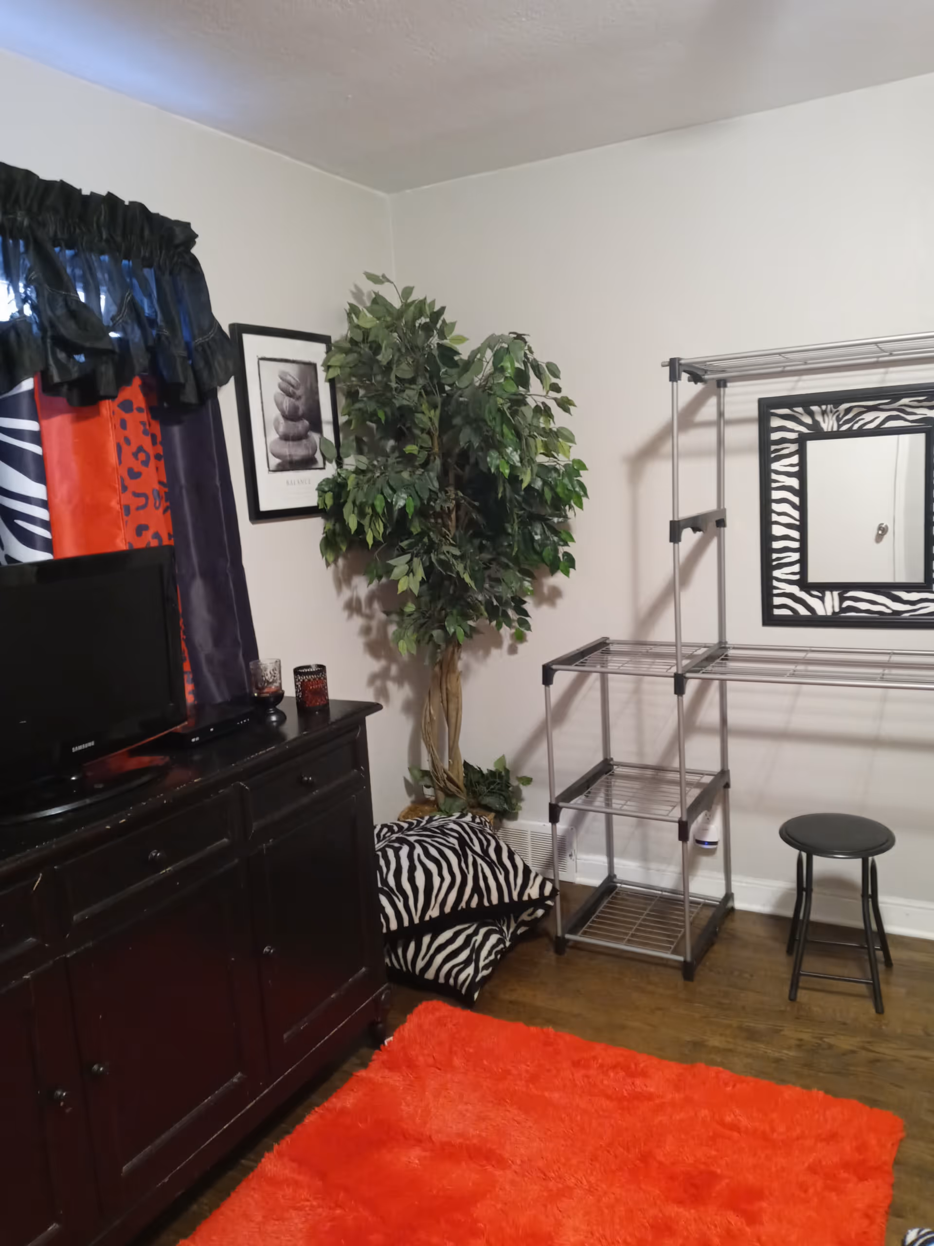 Interior room with a black cabinet holding a small TV, a tall artificial plant in the corner, a metal shelving unit with a zebra print framed mirror above it, a small black stool, zebra print cushions on the floor, and a bright red rug on wooden flooring. The window has dark curtains with red and zebra print panels.