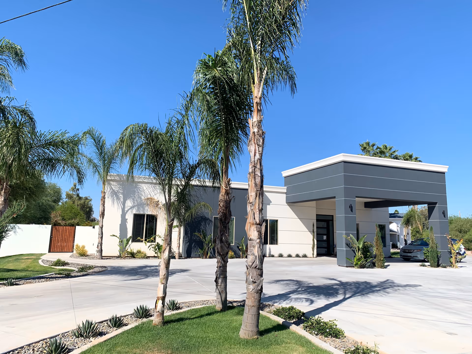 Exterior view of a modern single-story building with a covered entrance, surrounded by palm trees and landscaped greenery under a clear blue sky.