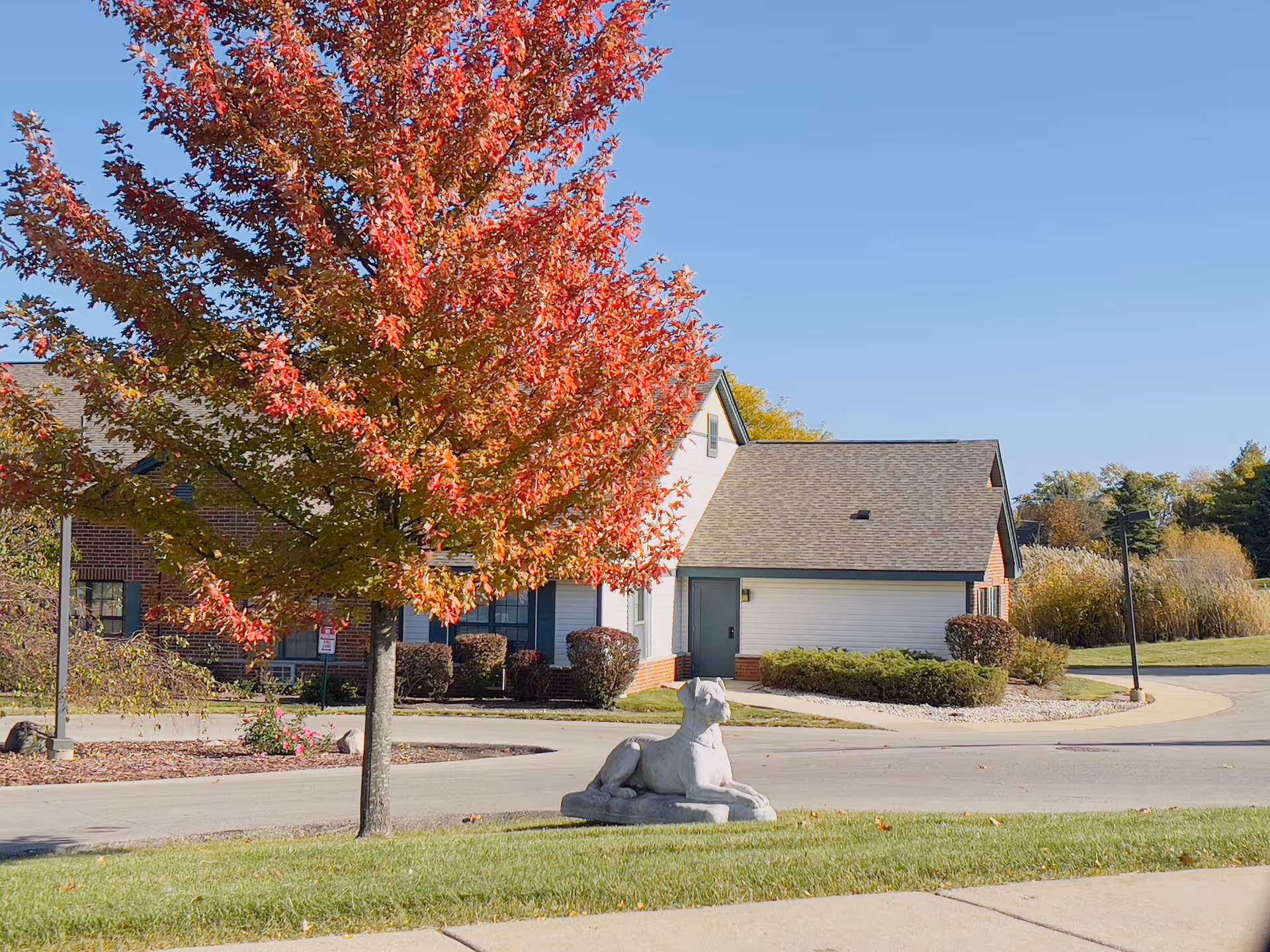 Exterior view of a residential-style building with a red autumn tree and a stone dog statue on the lawn under a clear blue sky.
