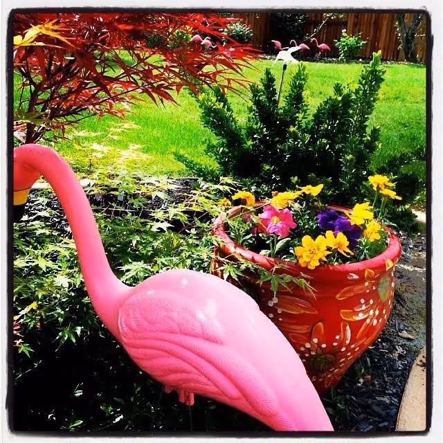 A vibrant garden scene featuring a large pink plastic flamingo lawn ornament in the foreground, colorful flowers in a decorative red pot, green shrubs, and a well-maintained grassy area with additional pink flamingo ornaments in the background.