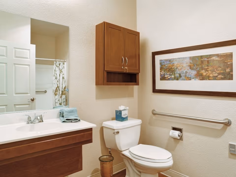 A clean and well-lit bathroom featuring a white toilet with a tissue box on top, a wooden cabinet mounted on the wall above the toilet, a large mirror above a wooden vanity with a white sink and folded blue towels, a grab bar next to the toilet, and a framed artwork on the wall.