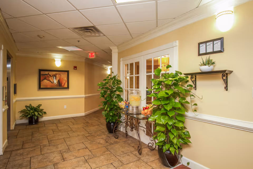 Well-lit interior hallway with tiled floor, potted green plants and a decorative console table holding refreshments.