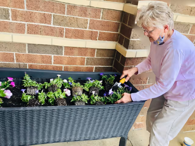 An elderly woman wearing glasses and a light purple long-sleeve shirt is planting purple and pink flowers in a large rectangular planter against a brick wall. She is using a small gardening tool and appears to be engaged in gardening activity on a patio or outdoor area.
