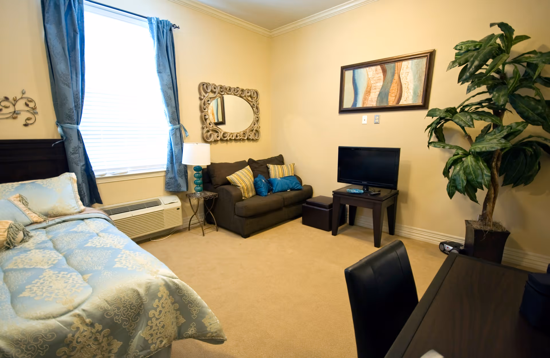 A cozy bedroom with a bed covered in light blue patterned bedding, a window with blue curtains, a small dark brown loveseat with decorative pillows, a side table with a lamp, a flat-screen TV on a small table, a large potted plant, a decorative wall mirror, and a framed abstract painting on the wall.